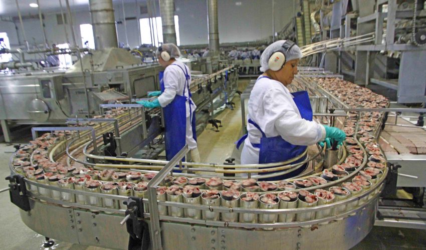 Jurel en tarro: Sernac ofició a Seremi de Salud del Biobío por presunto falso producto a la venta