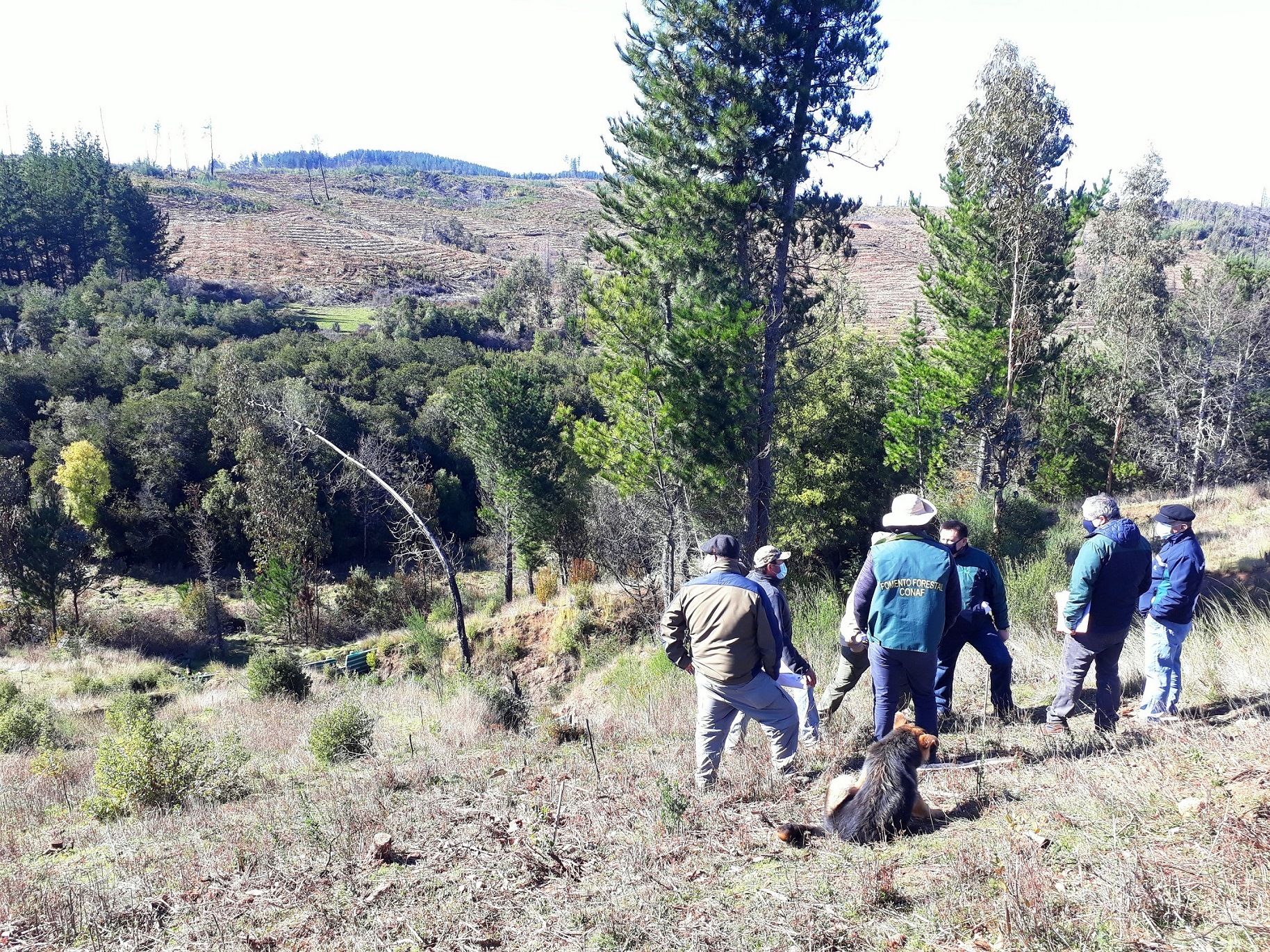 Avanza propuesta de Estrategia para la Gestión Sustentable de los Recursos Hídricos