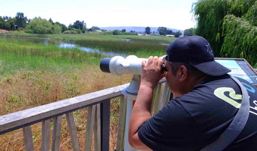 “Biobío Región de Humedales”: llaman a la comunidad a participar en diagnóstico regional