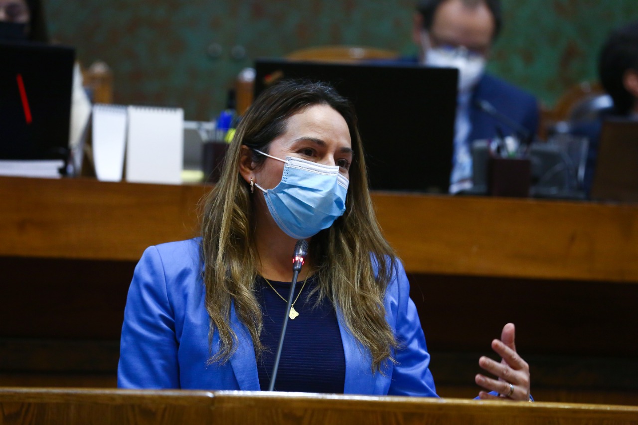 Diputada Joanna Pérez presentó proyecto de ley que regula la construcción de complejos de aerogeneradores