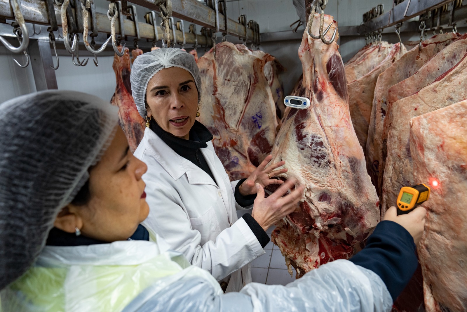 Autoridad Sanitaria inicia programa de fiscalización de Fiestas Patrias con 83 inspecciones y más de 3 toneladas en decomisos