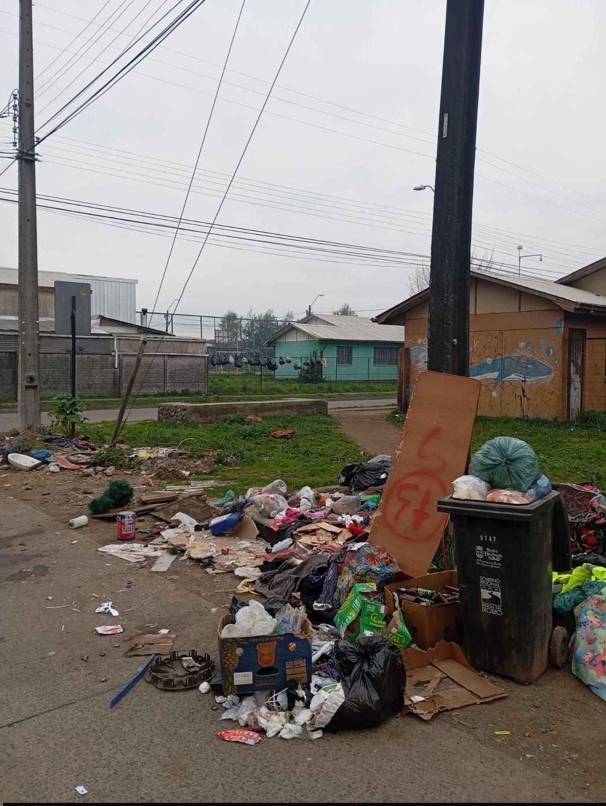 Santa Bárbara: Con un solo camión de basura hace más de un mes y acumulación en las calles se encuentra la comuna