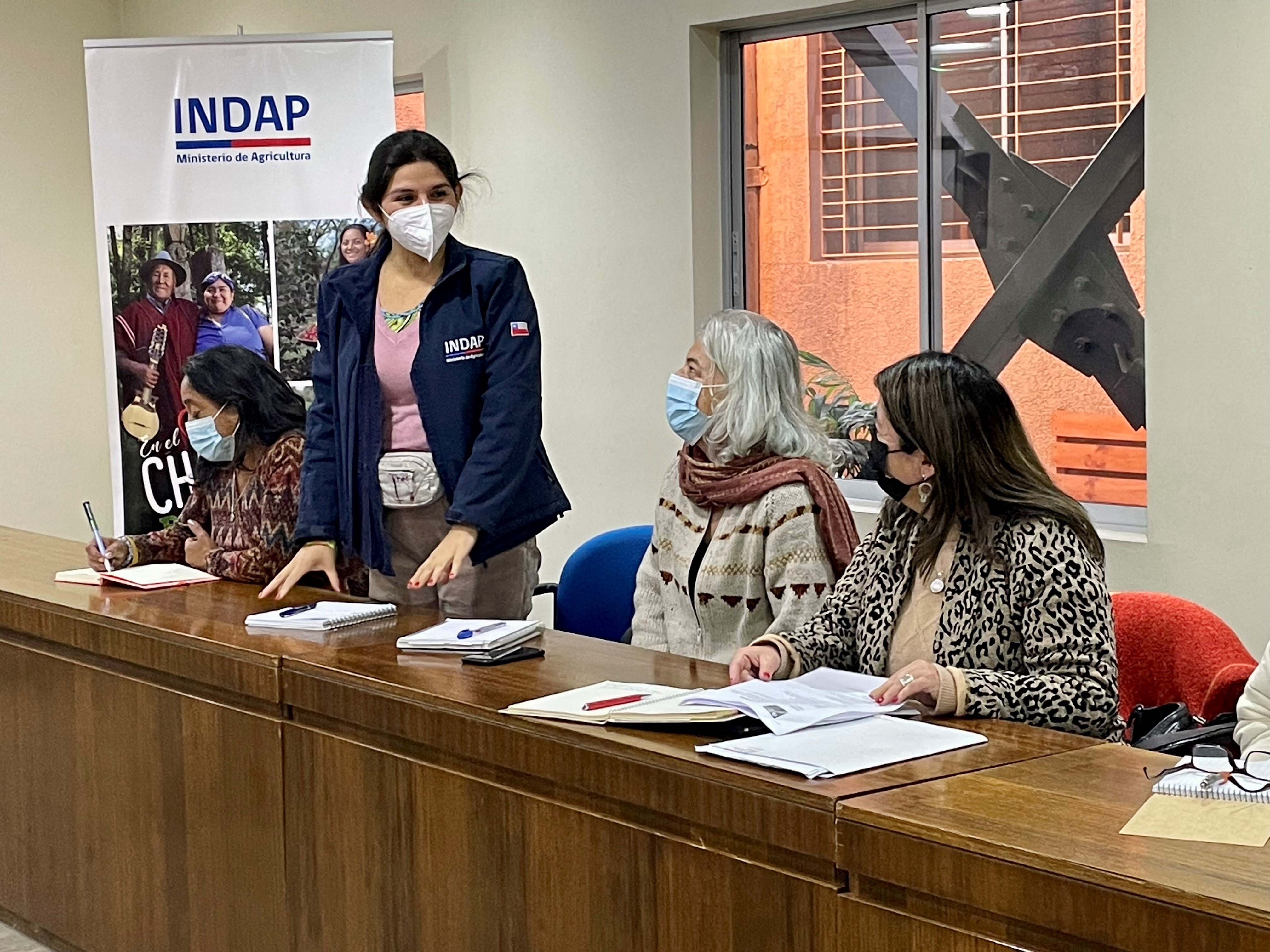 Reactivan de forma presencial Mesa Regional de Mujeres Rurales e Indígenas de Biobío