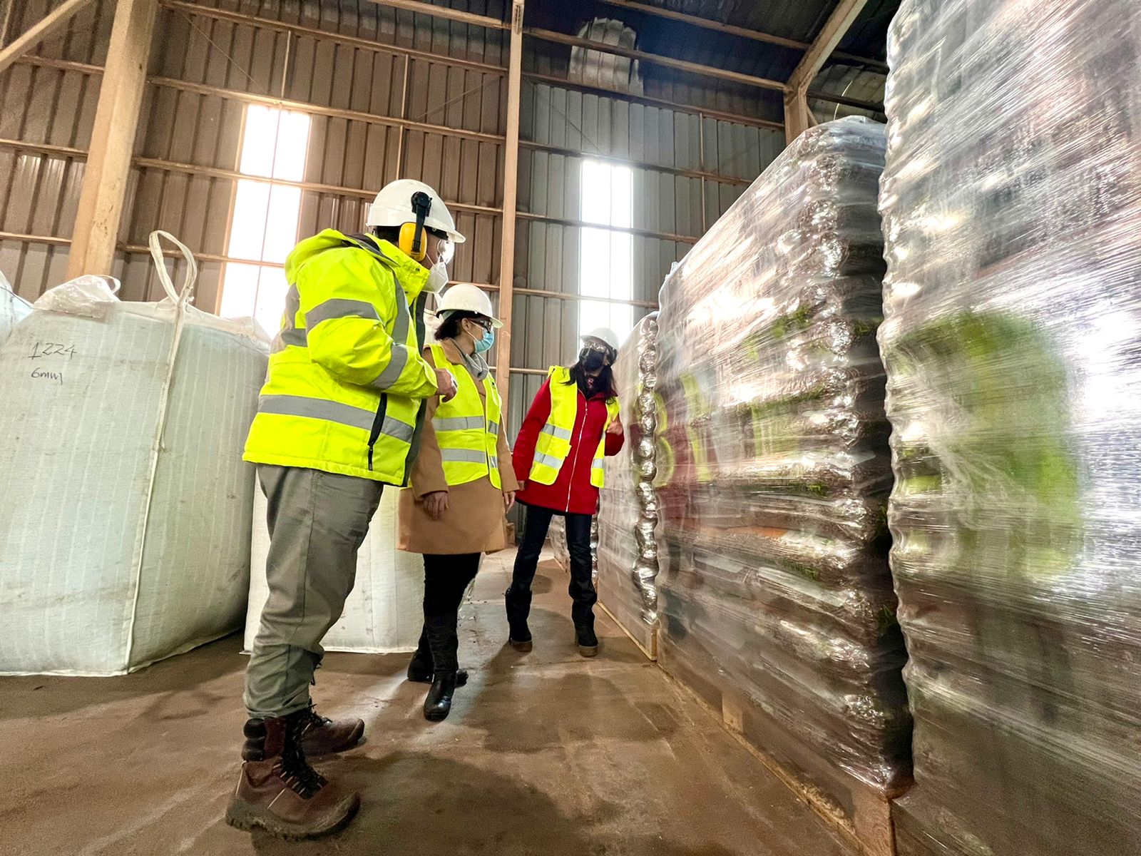 Autoridades visitan planta de pellet en Provincia de Biobío y aseguran que no existe quiebre de stock