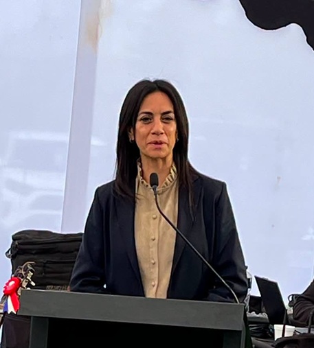 La jugada presidencial de Paulina Núñez: la presidenta del Senado abre la puerta a La Moneda y remece a Chile Vamos