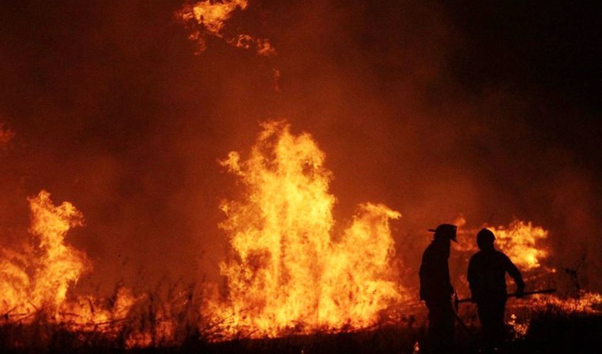 Conaf declara “botón rojo” para 144 comunas del país ante alto riesgo de incendios forestales