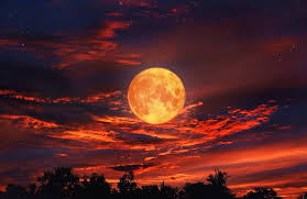 Luna de Sangre: ¿Se verá en Chile el último eclipse lunar total del año?