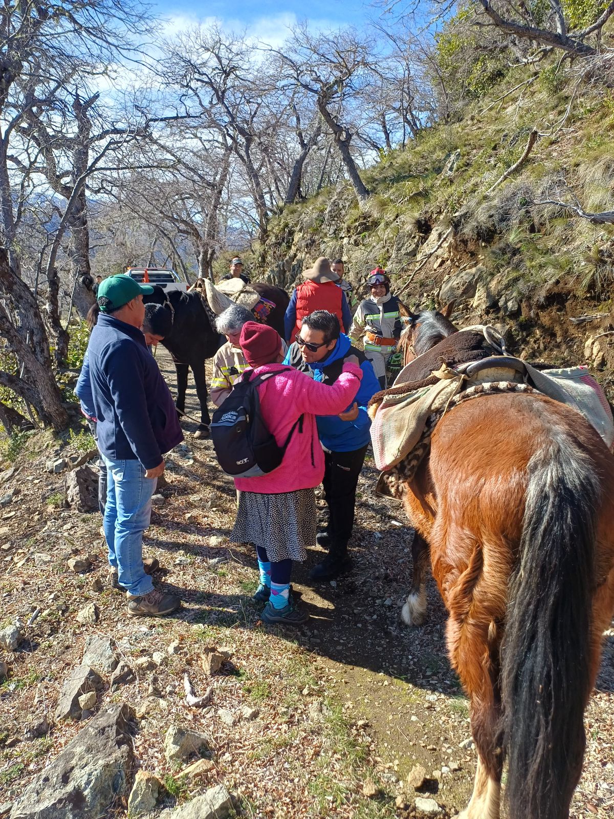 Alto Biobío: Mujer que llevaba enferma tres días, fue rescatada en Los Maitenes por equipos de emergencias