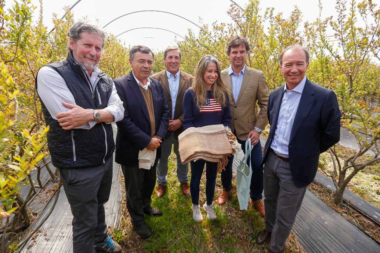 Ministro Valenzuela encabeza Blueberry Day organizado por Frutas de Chile y presentan perspectivas para la próxima temporada de arándanos