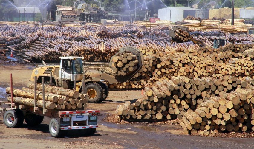 Biobío: proyectan 50 mil beneficiarios del Subsidio Unificado al Empleo