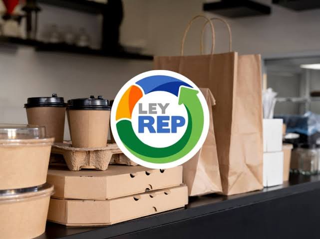 Diez años de Ley REP: recicladores del Biobío advierten brechas en ingresos y acceso a materiales