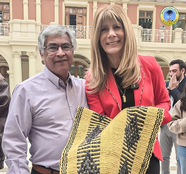 Alto Biobío alza la voz ante la ministra de Energía por el alto costo y la calidad del servicio eléctrico