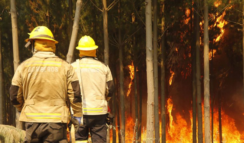 Ley de Incendios: proyecto todavía no es discutido por la Sala del Senado