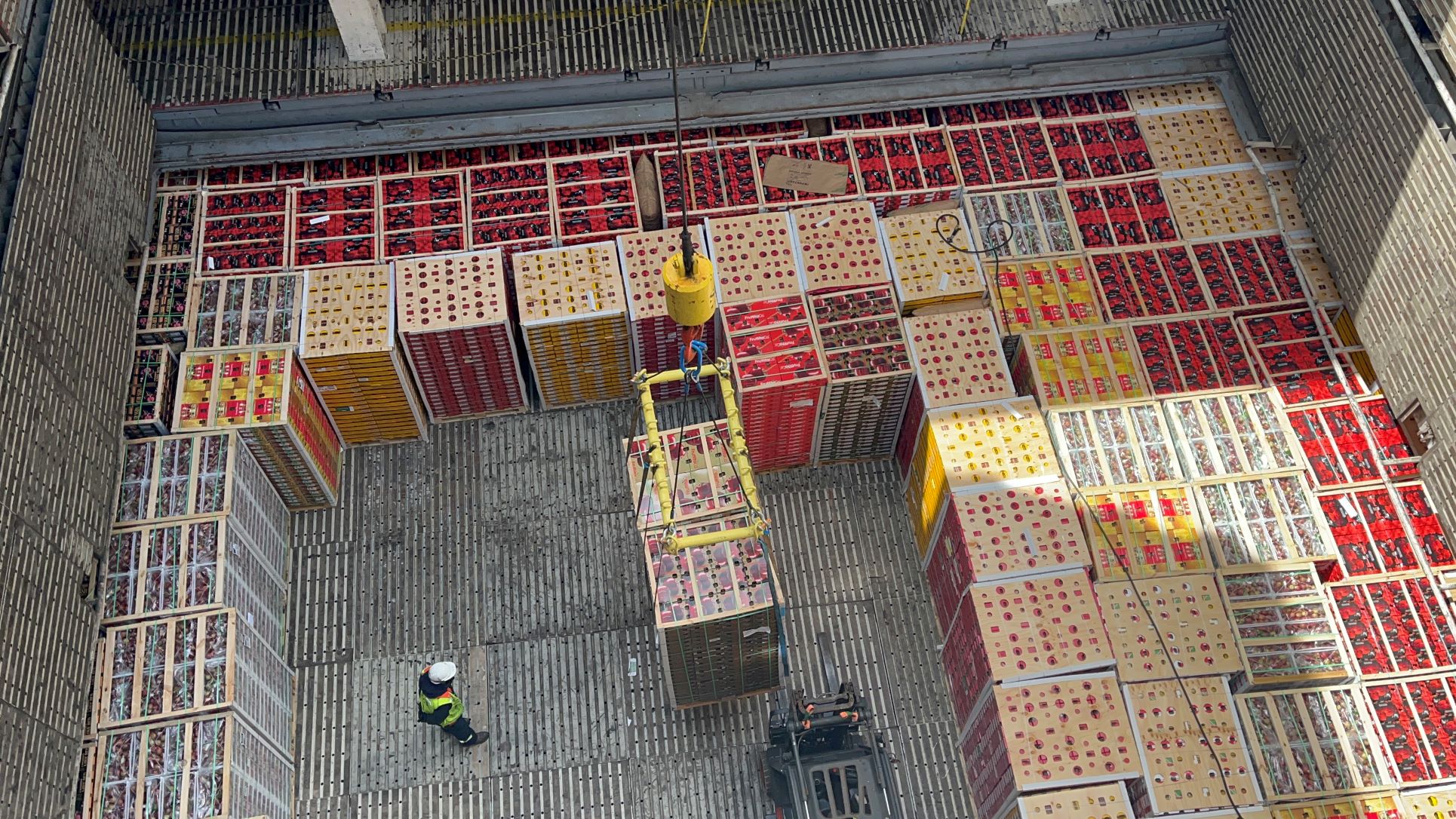SAG Biobío certifica primer embarque de cerezas, nectarines y arándanos frescos a China