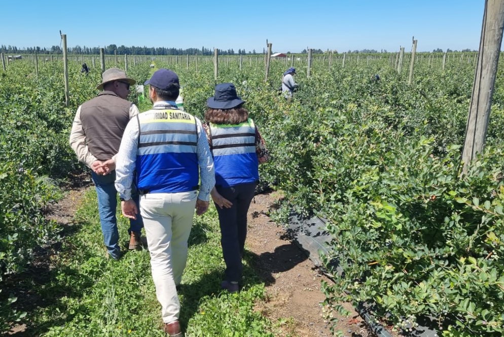 Entregan recomendaciones para cuidar la salud de trabajadoras y trabajadores agrícolas