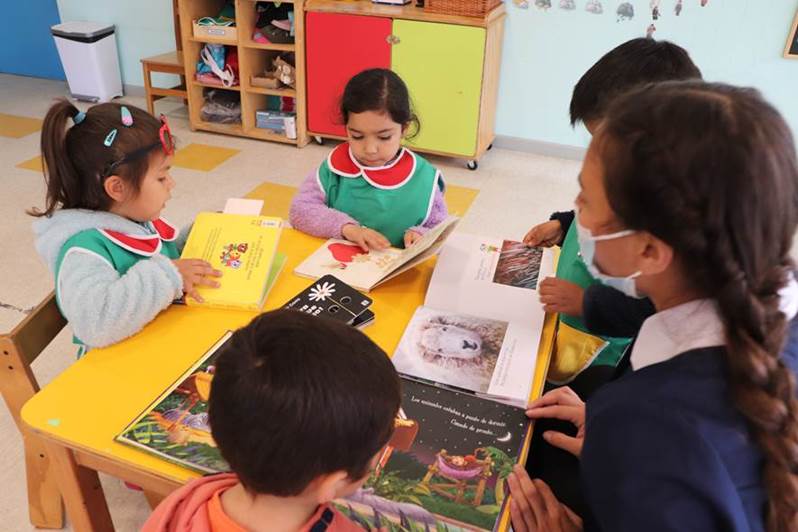 Colegios tendrán que reducir horas lectivas de otros ramos para incorporar clases sobre pueblos originarios 