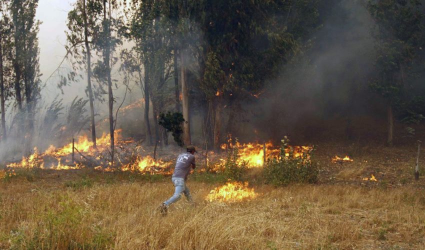 Ley de Incendios: Senado aprueba proyecto y avanza a tercer trámite legislativo