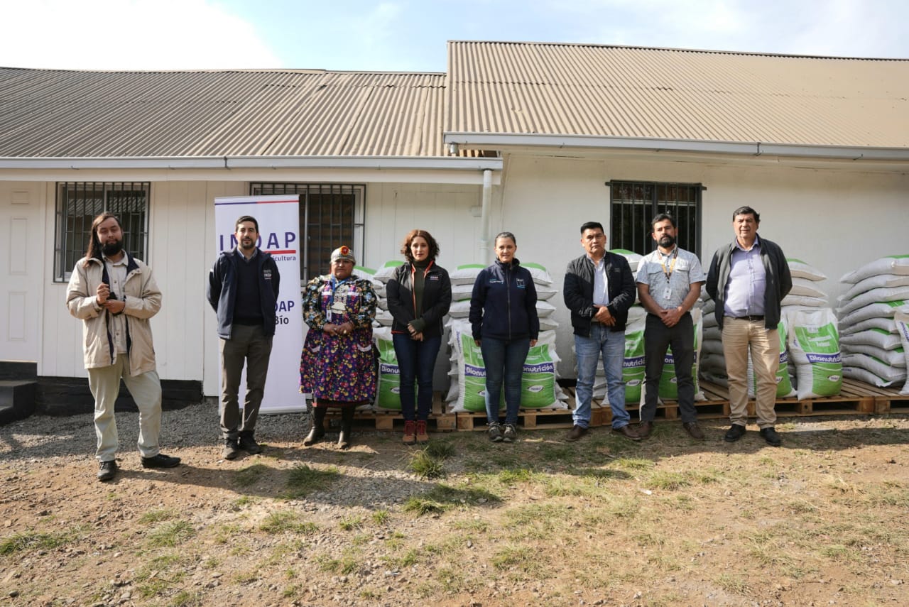 INDAP inició entrega de alimento animal para 2.300 pequeños ganaderos de Alto Biobío 