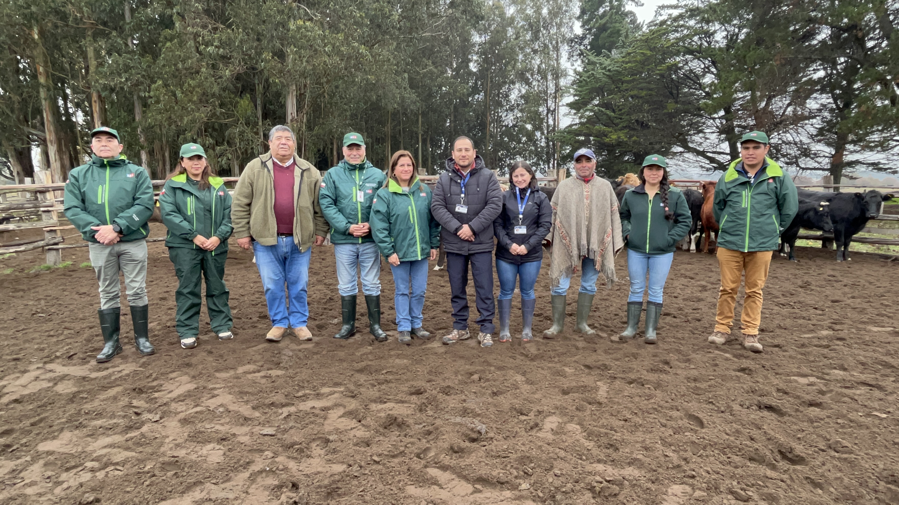 En el Día de la brucelosis bovina : SAG Biobío refuerza su compromiso con su erradicación en la región