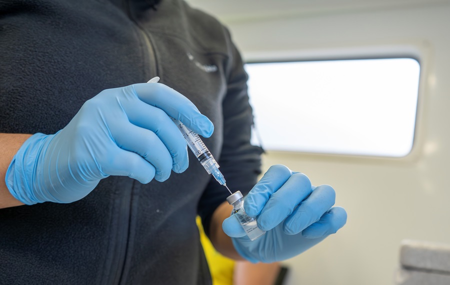 Región del Biobío superó meta de Cobertura contra la Influenza con 85,3%