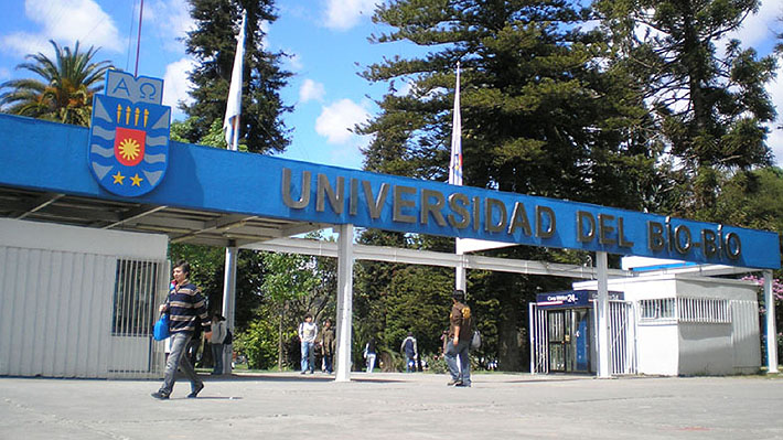 Contraloría detecta "deficiente gestión" de U. del Biobío en recuperación de más de $4 mil millones por becas docentes  