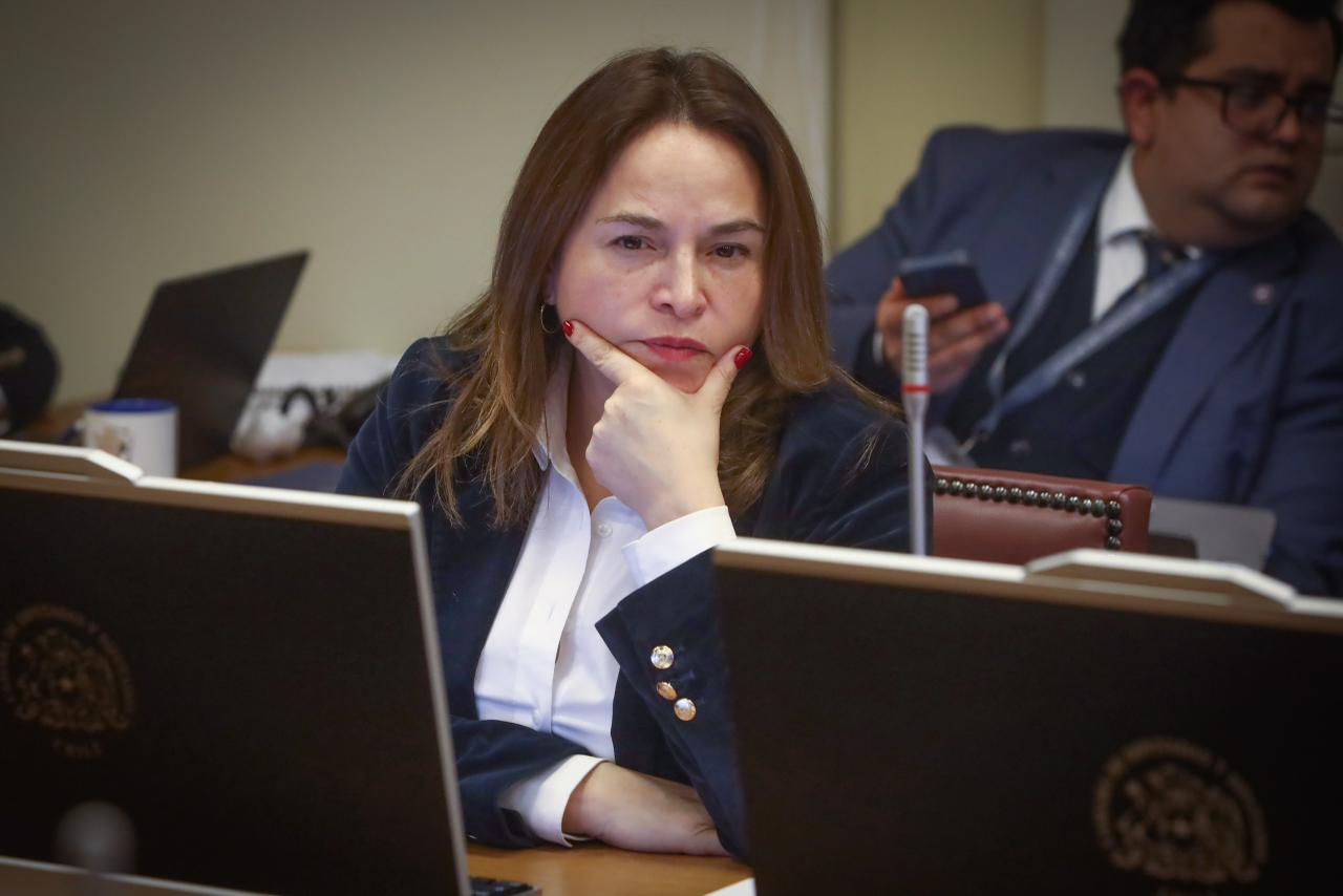 Joanna Pérez impulsa Comisión Investigadora por brecha digital: “No puede haber un Chile conectado y otro donde conseguir señal sigue siendo un privilegio”