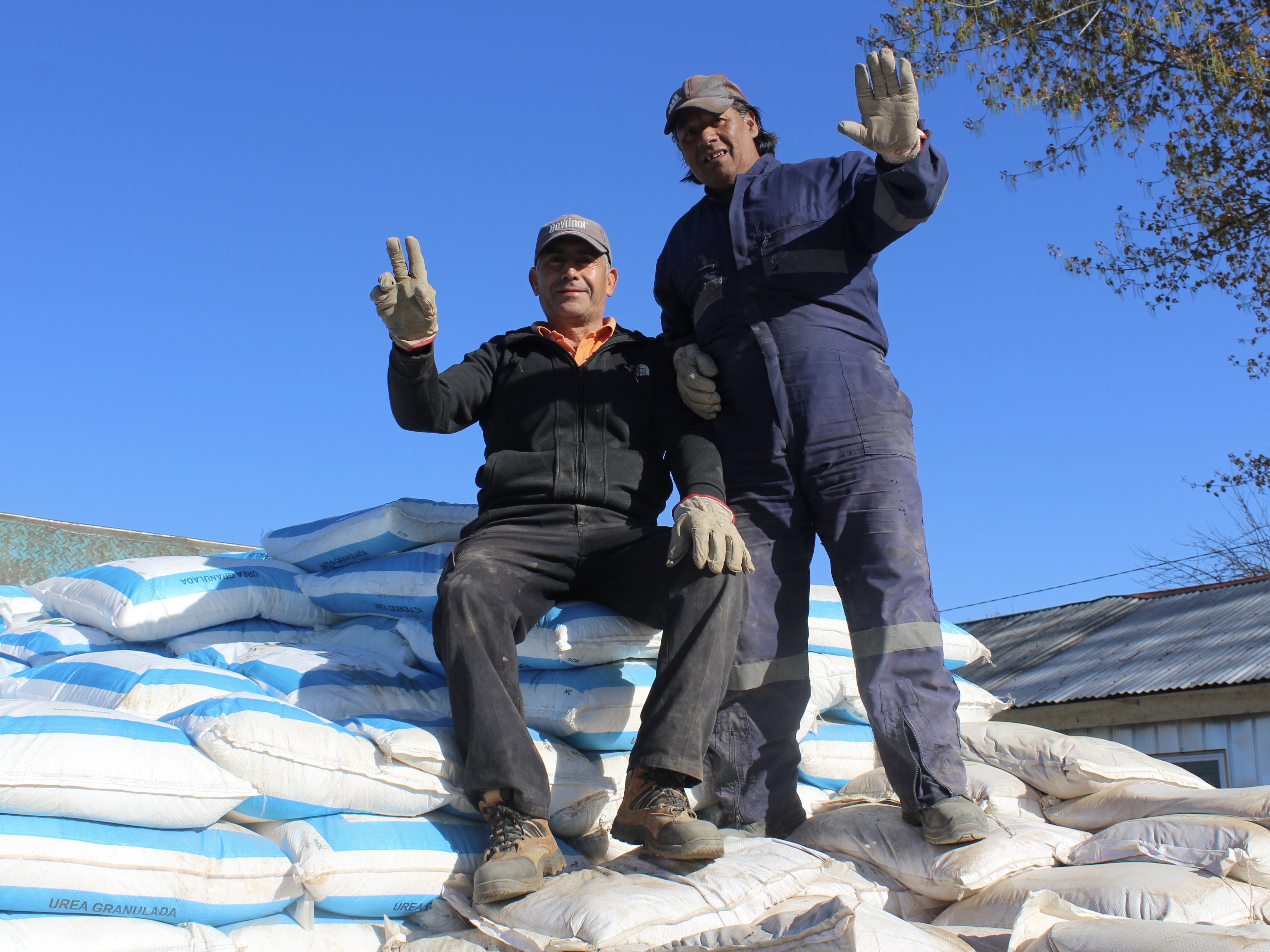 Más de 2.700 sacos de fertilizantes y biofertilizantes fueron entregados a agricultores de la Provincia de Bíobío