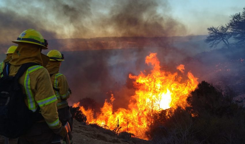 Conaf informa seis siniestros activos y casi 33 mil hectáreas afectadas en Biobío