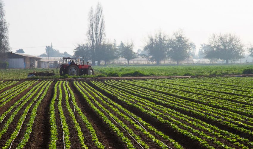 Minagri refuerza medidas de protección agrícola frente a heladas, lluvias e inundaciones