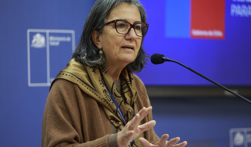 Ministra de Salud anuncia incorporación de todos los tipos de cáncer al GES entre 2028 y 2031