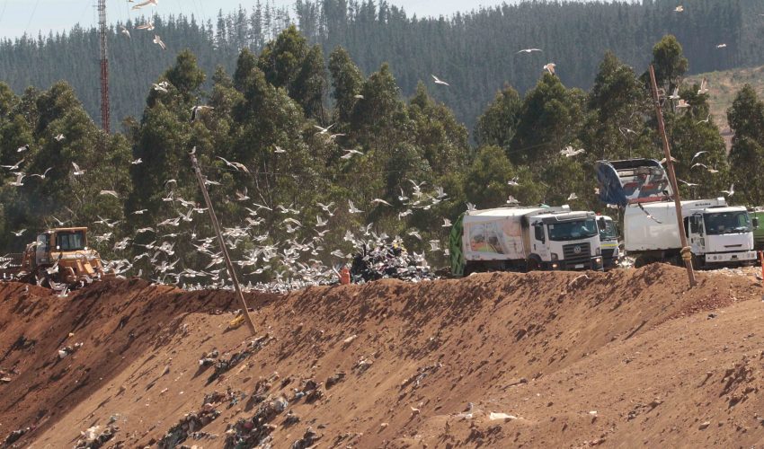 Biobío es la región que más gasta en la gestión de residuos domiciliarios en todo Chile
