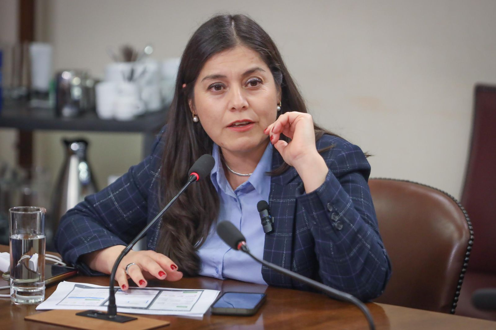 Diputada Karen Medina busca ampliar horario de fondas en la Macrozona Sur: “Los emprendedores esperan todo el año esta semana”