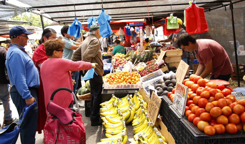 30 mil personas trabajan en las ferias libres de Biobío