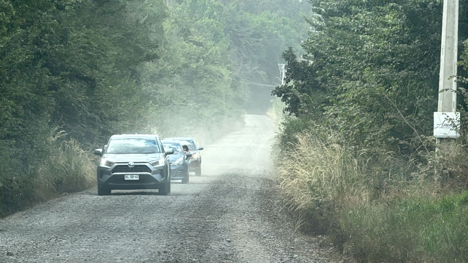 "Matapolvo" en calle Don Victor de Los Ángeles, ! no duró ni una semana !