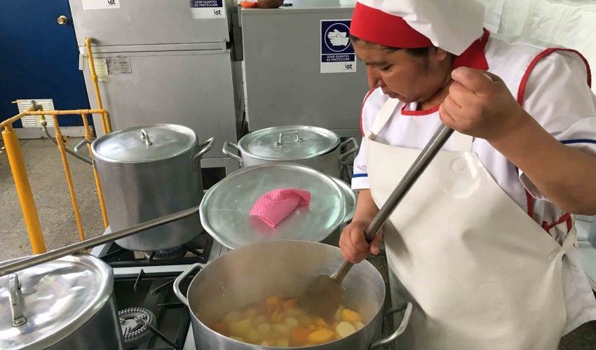 Biobío: minutas de Junaeb se potencian con alimentos derivados de productores locales