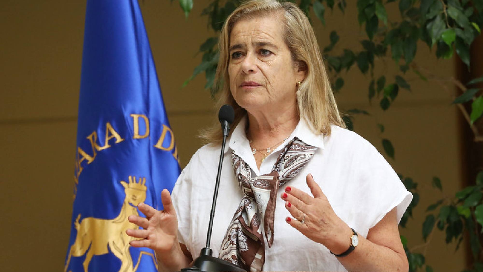 Diputada Flor Weisse respalda reforma para reducir plazos ambientales y reactivar inversiones