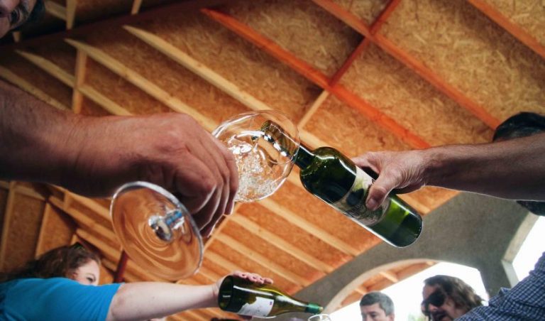 Cepas ancestrales y asociatividad: la estrategia en Biobío con el vino ante el bajo crecimiento económico