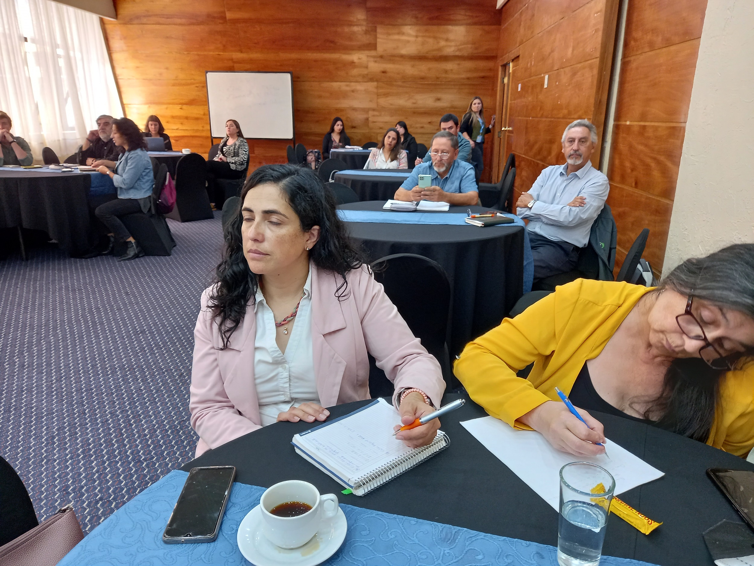 Con taller realizado en Concepción se inicia la  conformación de grupos REDD+ regionales