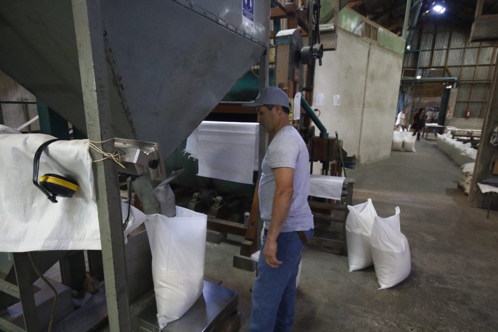 Molienda de trigo de la Región del Biobío disminuyó 3,4% en doce meses    