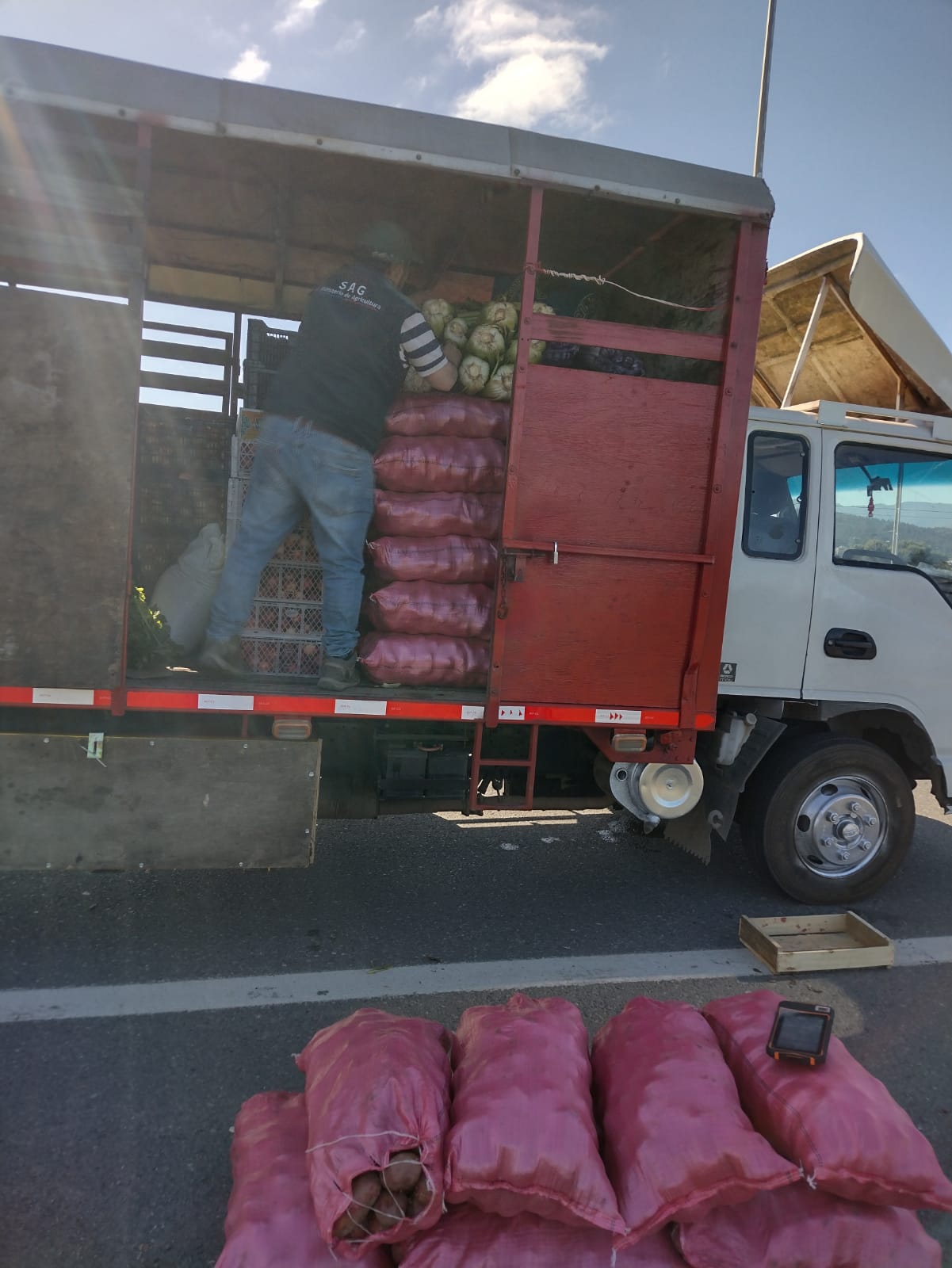 SAG retiene 100 sacos de papas que  intentaban comercializar en la provincia de Arauco