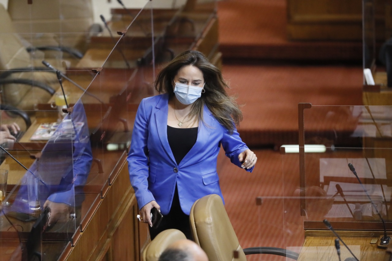 Diputada Joanna Pérez ingresó proyecto de ley interpretativo que busca sumar a la ley de bono de alivio a pymes a los sectores que quedaron postergados en el apoyo fiscal