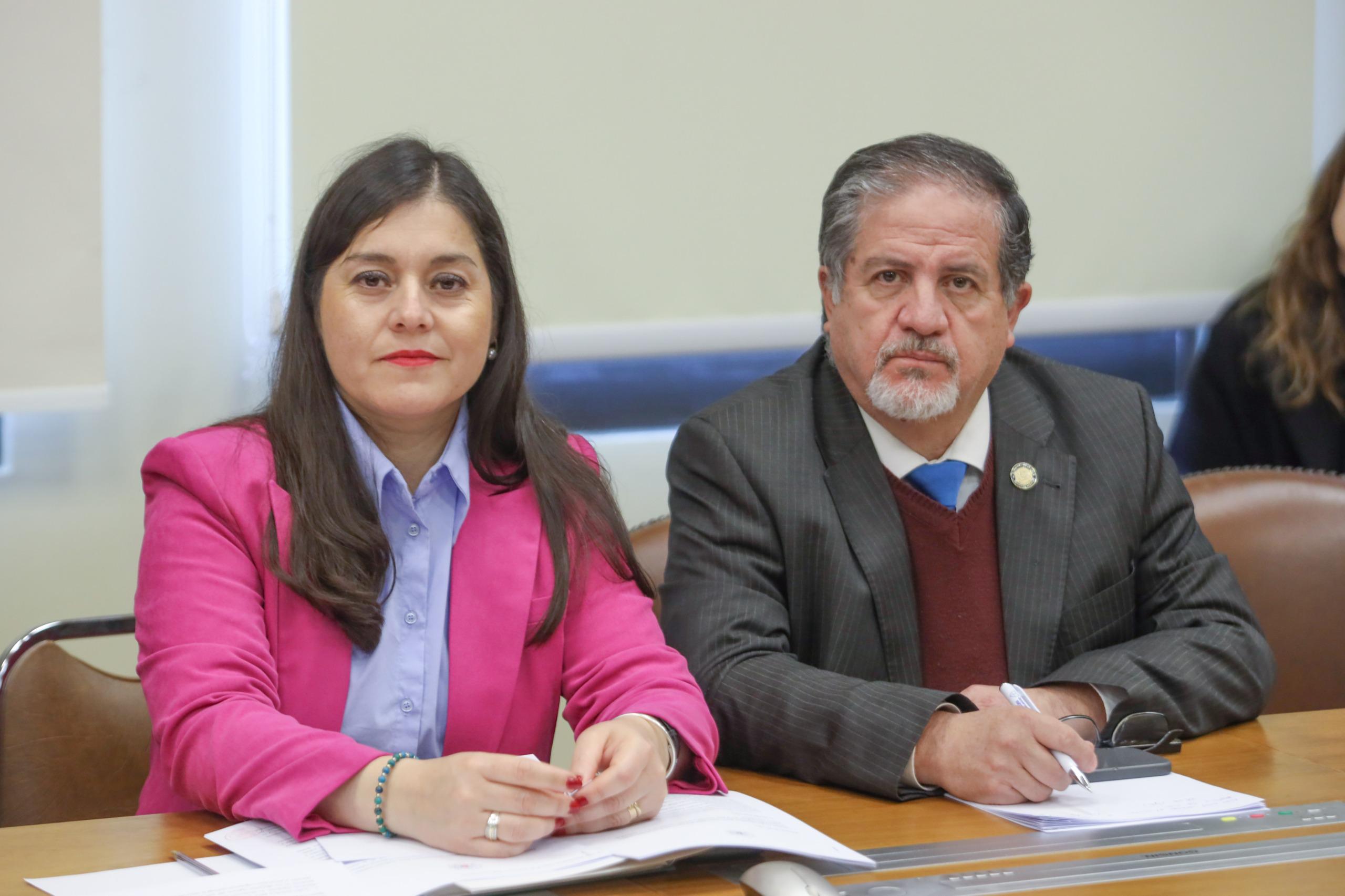 Diputados del Biobío exigen medidas y mejorar sistemas de inteligencia tras incautación de ácido clorhídrico en Puerto San Vicente