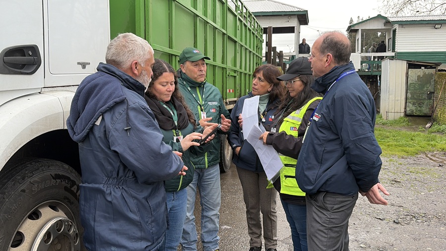 Gobierno refuerza fiscalización para proteger la actividad ganadera en Biobío 